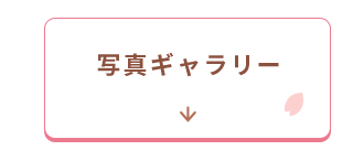 ギャラリーへ