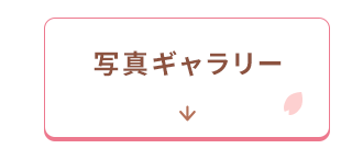 ギャラリーへ