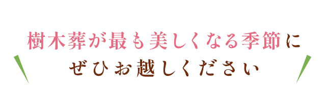 ぜひ現地でご覧ください。
