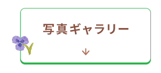 ギャラリーへ