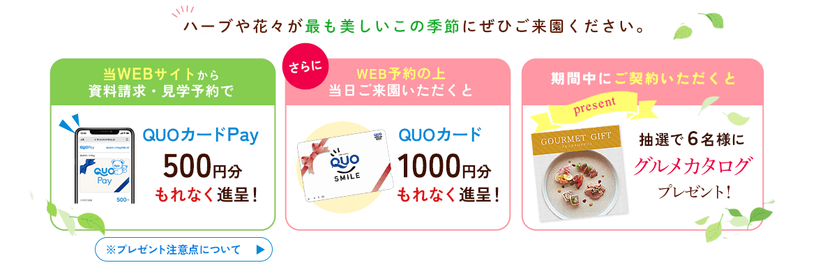 グルメカタログプレゼント
