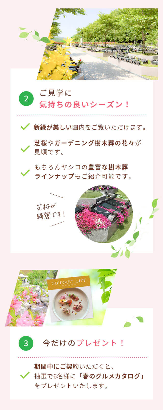 見学会のポイント2と3