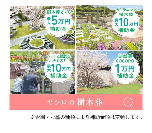樹木葬