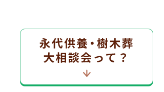 ポイント