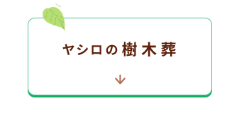 樹木葬