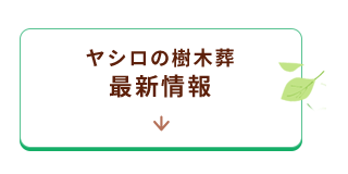 霊園新区画情報
