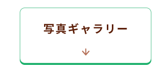 ギャラリーへ