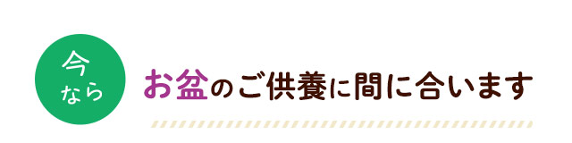 ご見学受付中