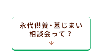 ポイント