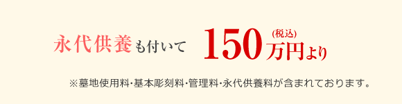 ハナミズキ 価格