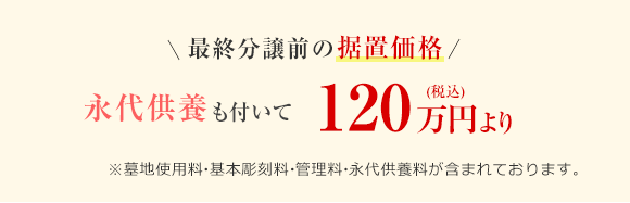 ハナミズキ 価格