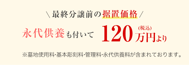 ハナミズキ 価格