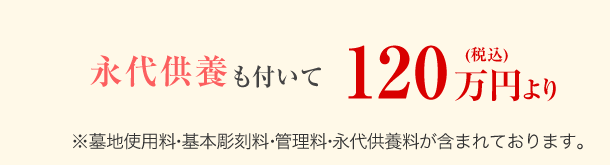 ハナミズキ 価格