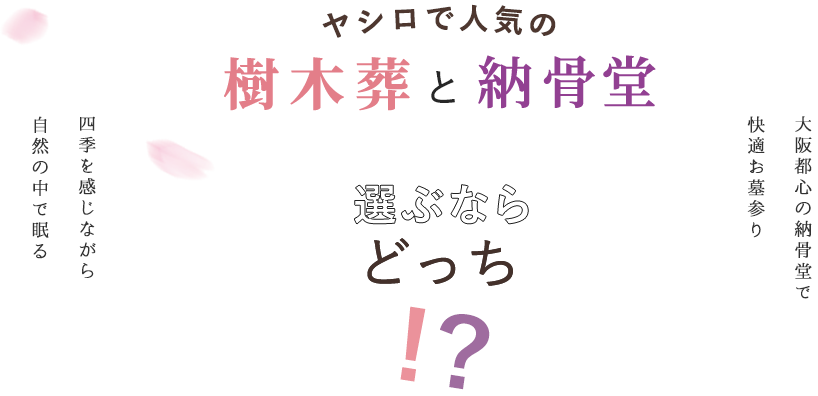 ヤシロで人気の樹木葬と納骨堂選ぶならどっち！？