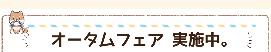 キャンペーン1
