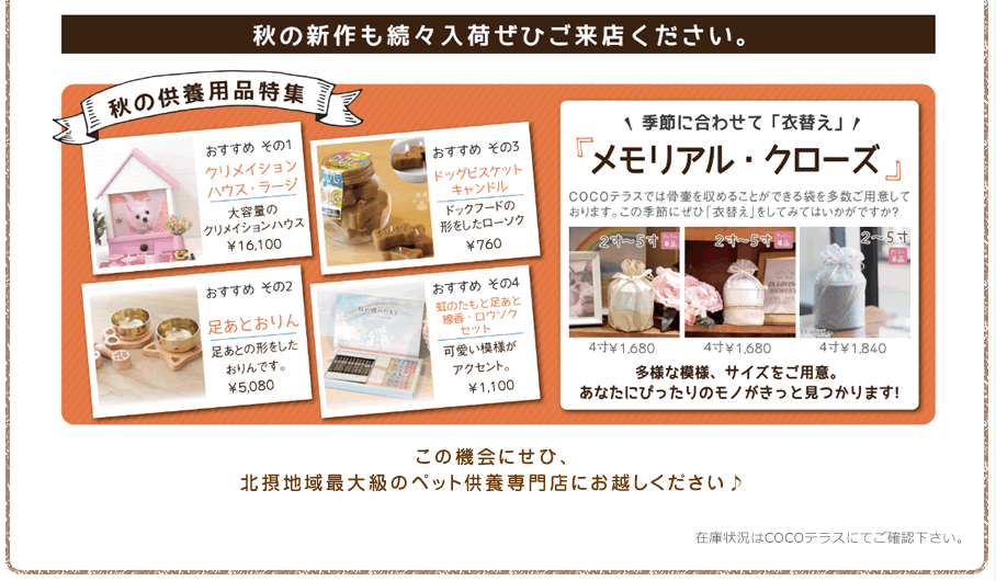 キャンペーン5