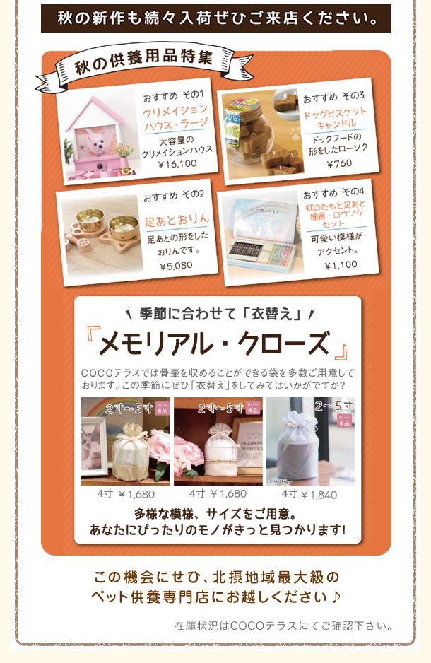キャンペーン4
