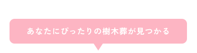 あなたにぴったりの樹木葬が見つかる