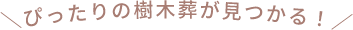 ぴったりの樹木葬が見つかる！
