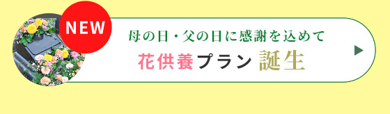 花供養プラン