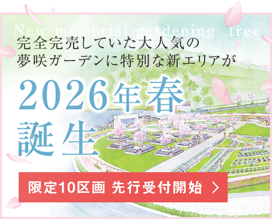 夢咲 新エリア誕生