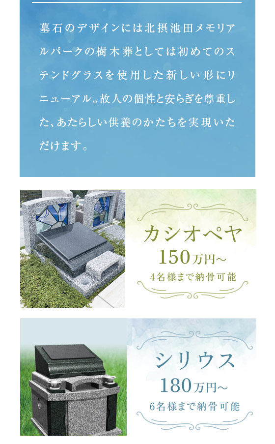 夢咲 新エリア2