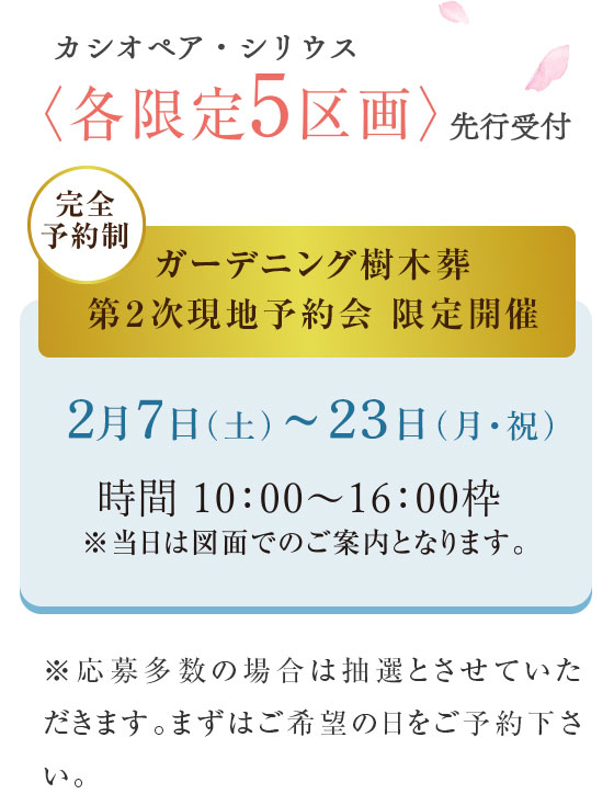 夢咲 新エリア3