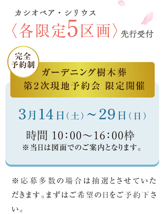 夢咲 新エリア3