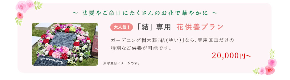 結 専用 花供養プラン