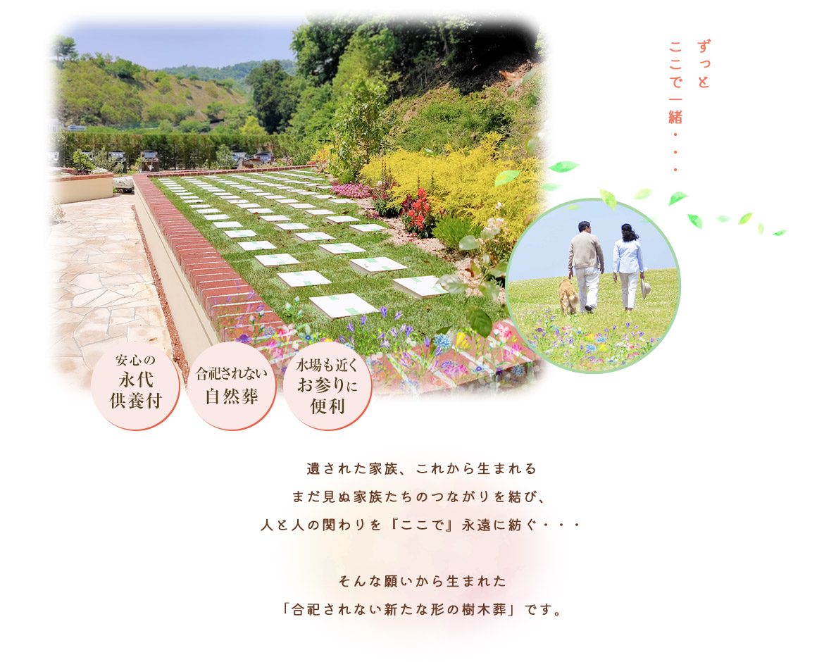 結ペット1