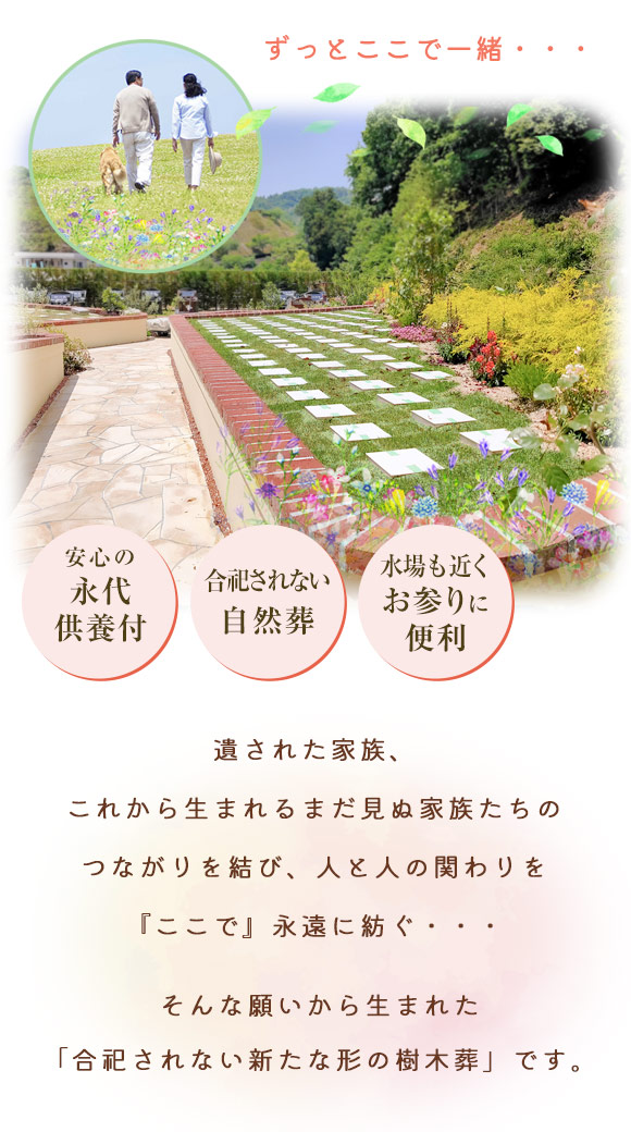 結ペット1