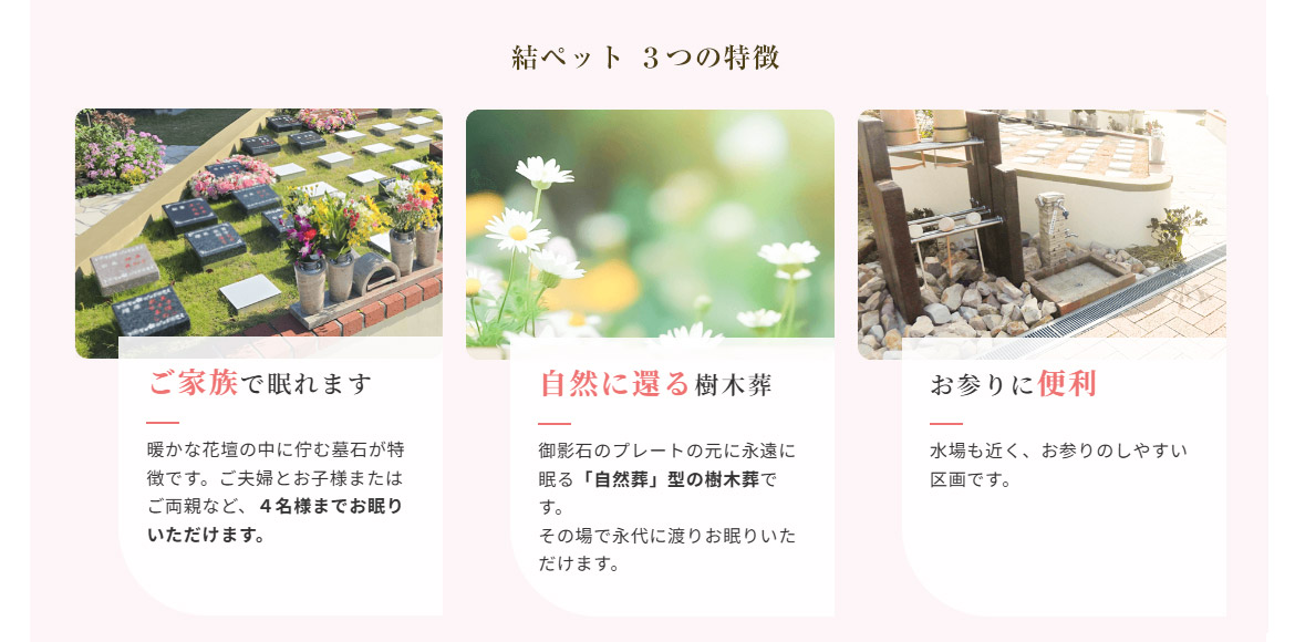 結ペット2