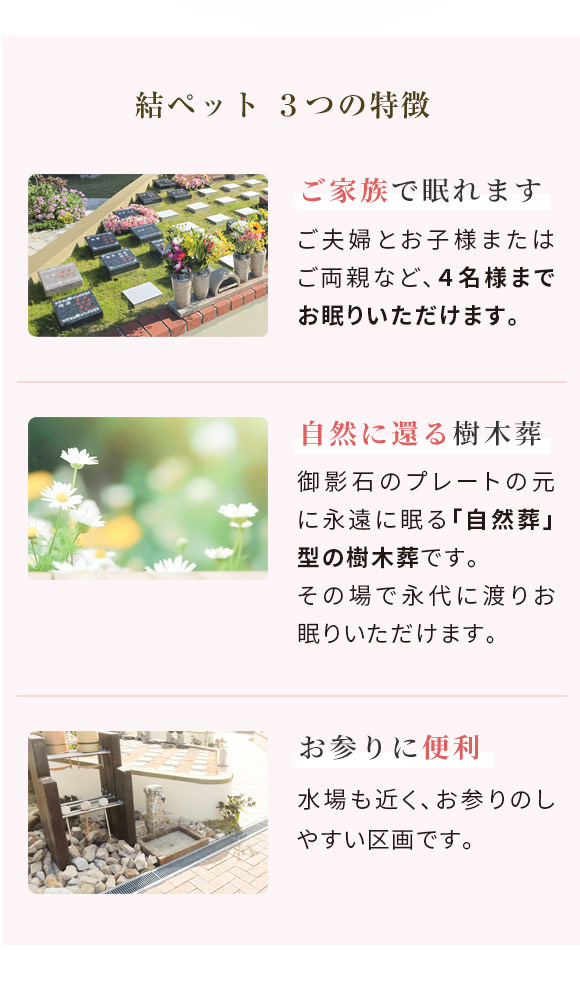 結ペット2