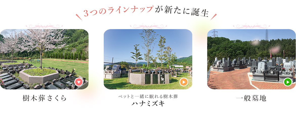 夢咲ガーデン第三期 誕生 大阪の樹木葬なら大阪生駒霊園 供養にまつわる総合企業 霊園 墓石のヤシロ 夢咲ガーデン第三期 誕生 大阪の樹木葬なら大阪生駒霊園 供養にまつわる総合企業 霊園 墓石のヤシロ