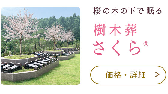さくら