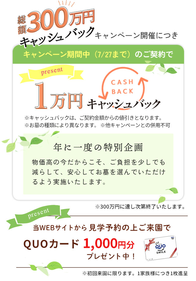 キャンペーン