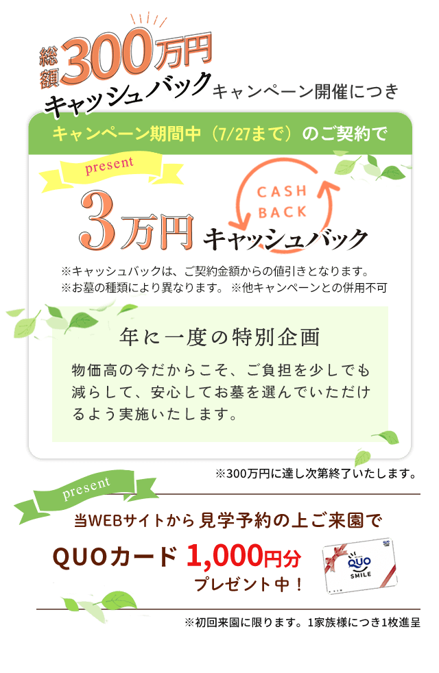キャンペーン