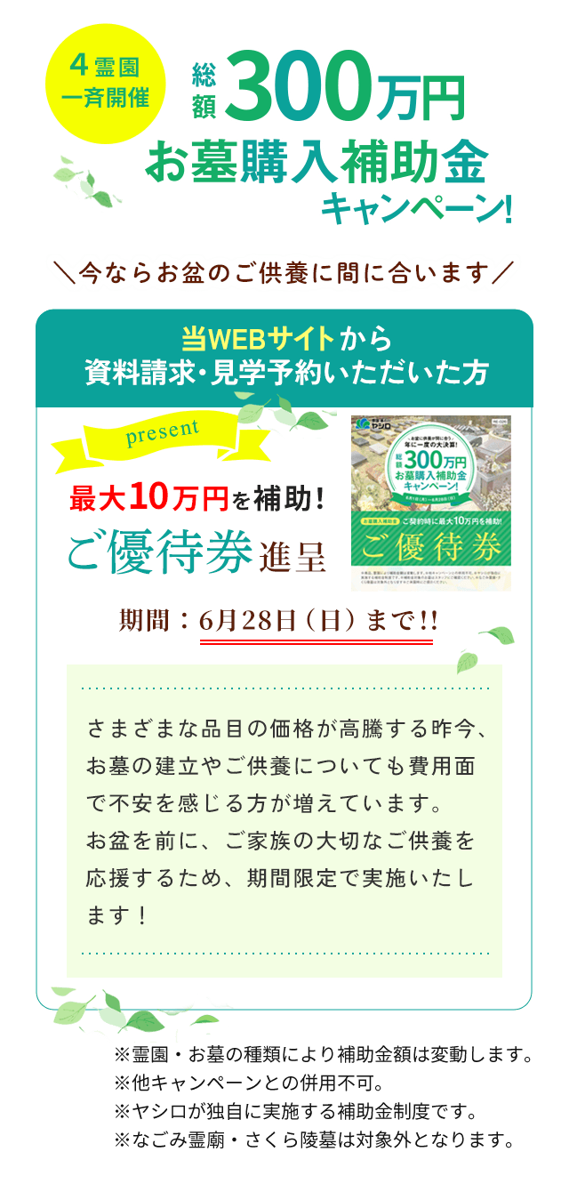 キャンペーン
