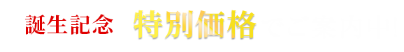 特別価格
