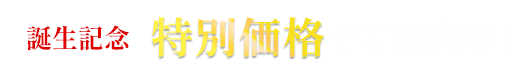 特別価格