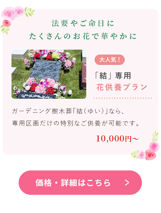 結 専用 花供養プラン
