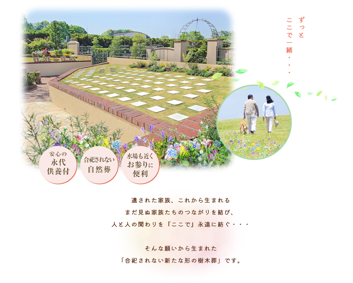 結ペット1