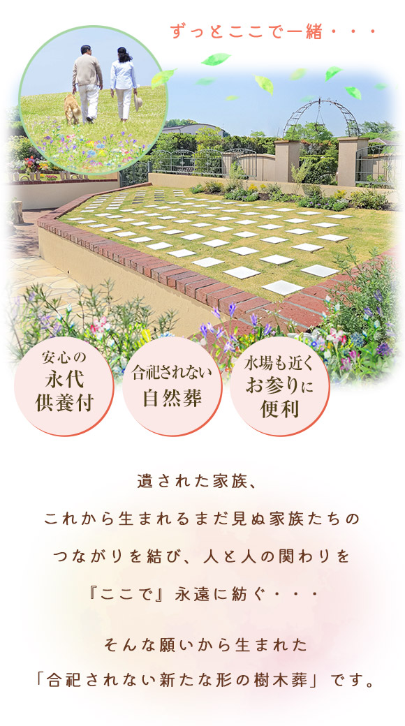 結ペット1
