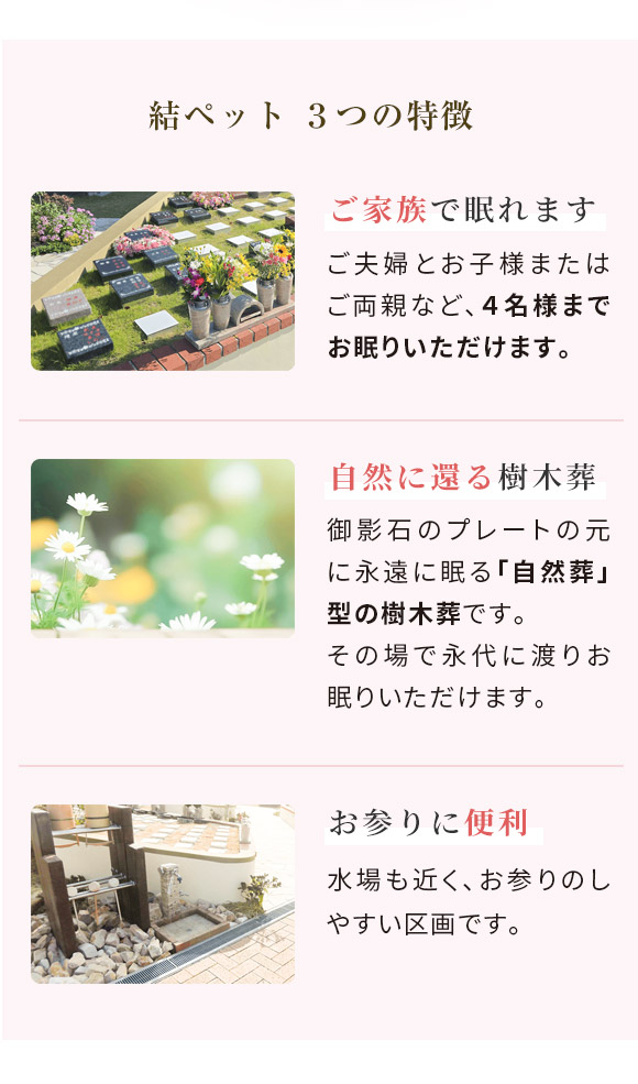 結ペット2