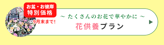 花供養プラン特別価格