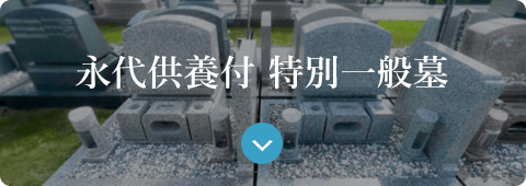 特別一般墓