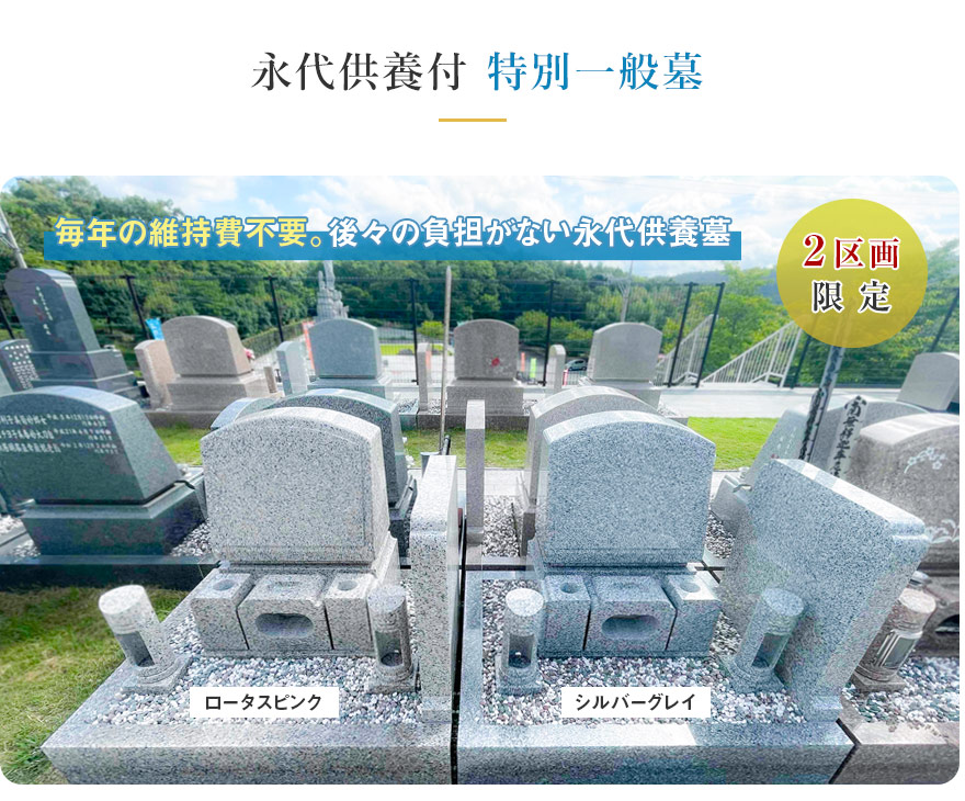 特別一般墓
