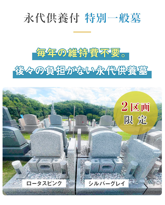 特別一般墓