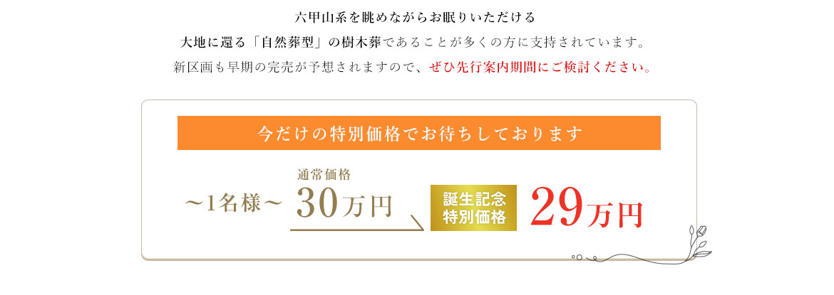 ひだまりの丘に誕生
