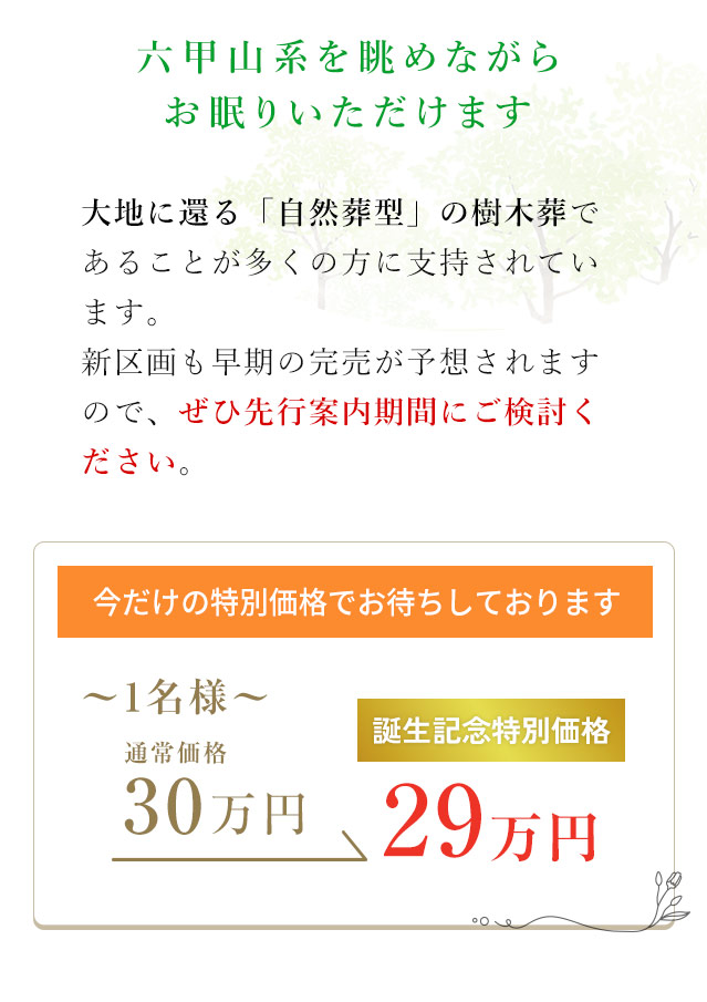 ひだまりの丘に誕生